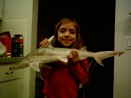 Liz & Jaws