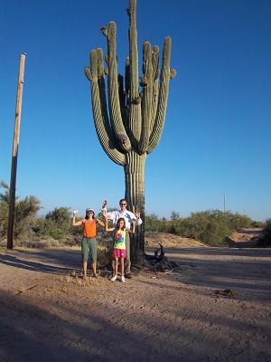 Cactus near Ed and Val's house