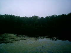 Lake Bitley