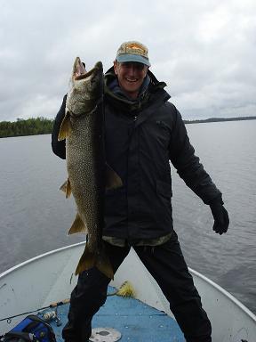 39 inch trout