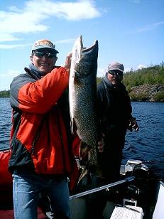 39 inch trout