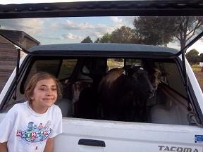 Liz with the new sheep