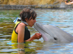 Liz kissing a dolphin